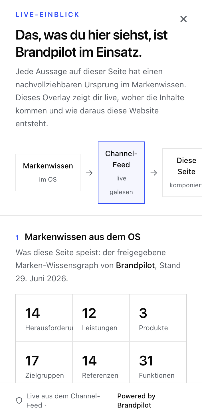 Live-Einblick Brandpilot: Infografik zeigt Markenwissen aus dem OS mit 14 Herausforderungen, 12 Leistungen, 3 Produkten, 17 Zielgruppen, 14 Referenzen und 31 Funktionen.